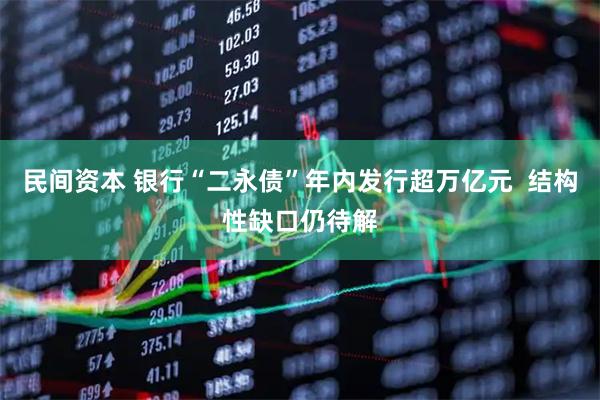 民间资本 银行“二永债”年内发行超万亿元  结构性缺口仍待解